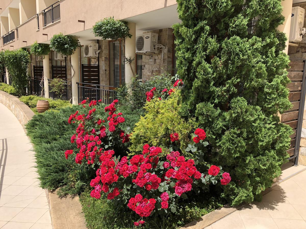סבטי ולאס Vp Luxor Studio מראה חיצוני תמונה